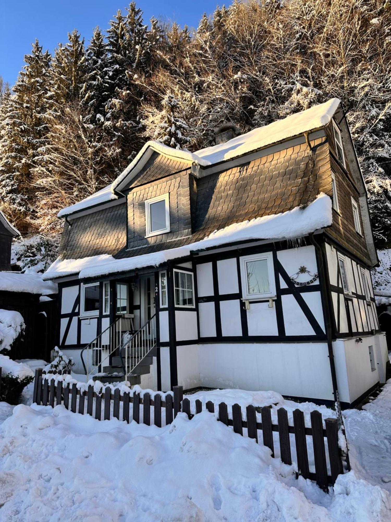 Ferienhaus Waldtraum ווינטרברג מראה חיצוני תמונה